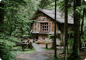 Rejestrujesz schronisko